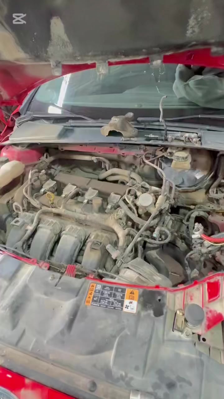 خدمات جهاد الفيتر كافه انوع السياره تم تعمير كير فورت فوكس 
موقع موصل جانب الايسر https://maps.app.goo.gl/rZ94457Q4FrXp4if6?g_st=ic
تواصل ***********/ اسيا ***********  بي وتساب
