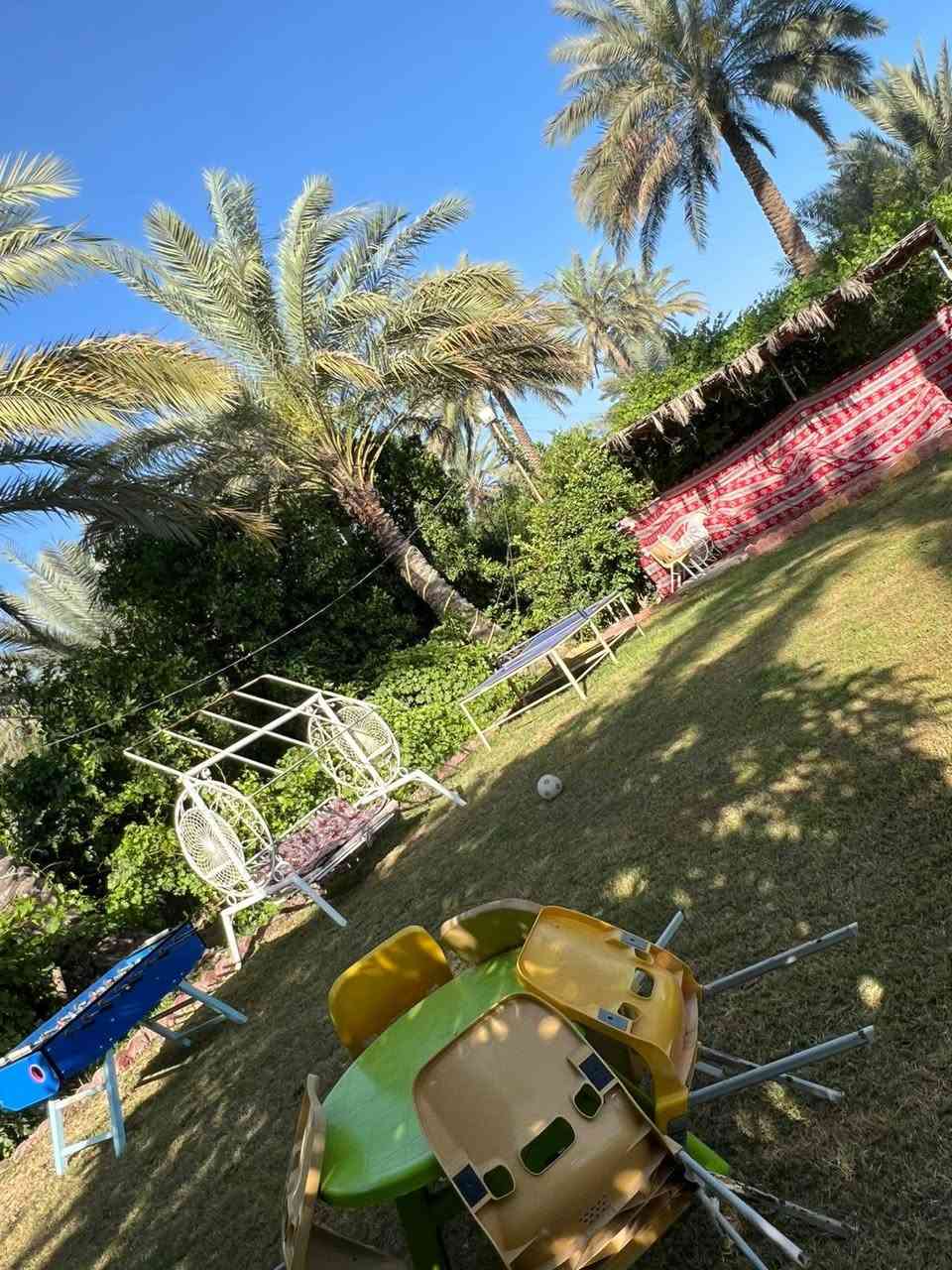مزرعة لسياحة والترفيهية قضاء بلد
سعر الشفت 120
 الإيجار اليومي
🔹 مسبح الكبار 🏊 
🔹 مسبح اطفال  🏊
🔹 مسبح شلال 
🔹 مطبخ متكامل
🔹 صاله كبيرة غرف نوم كبيره
🔹 مساحة المزرعة دونم 4 دونم 
🔹 بستان انواع فواكه
🔹 ججلسات خارجية عربيه 
🔹 شوايات لجميع المشاوي
🔹 حديقة كبيره
🔹 العاب مختلفة 
🔹 كراج سيارات داخل المزرعه
رقم مزرعة 42 🌿 
خدمة توصيل كافة انواع المشتريات من مدينة بلد
#العنوان #صلاح #الدين #قضاء #بلد 
للحجز والاستفسار *********** 📞 
يوجد واتساب ☎️

#مزارع_للايجار #اليومي #بلد
#مزارع_بلد_السياحيه #الترفيهيه #بلد #والبساتين
