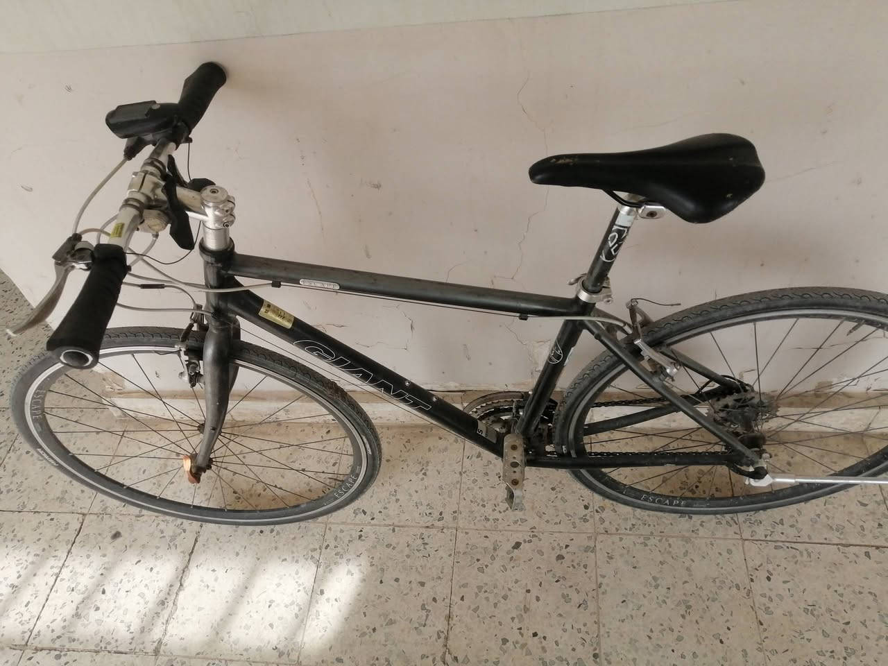 جاينت سكيب R3
سستم شيمانو كله بالكامل
دشلي خلفي 8 أمامي 3
كل قطعه بي جاينت
190
مكاني بغداد


**إذا كنت صاحب هذا الإعلان وتريد حذفه لأي سبب، رجاءا أرسل رسالة إلى الدعم الفني**