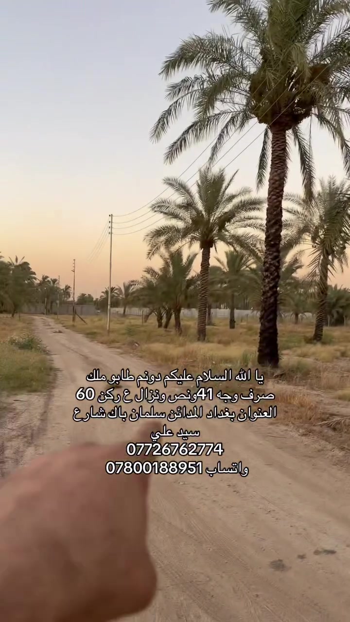 يا الله السلام عليكم ( اعلان رقم 70 )
دونم طابو ملك صرف وجه 41ونص ونزال ع ركن 60 
العنوان بغداد المدائن سلمان باك شارع سيد علي 
*********** 
واتساب ***********
