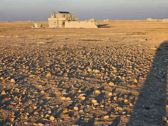 السلام عليكم توجد قطعة أرض للبيع مساحة الأرض ( 1000متر)
بالقرب من الطريق الفوك شركاط هيجل 
وبيوت السبعاوي 
مي  كهرباء قريبة علية  
طريق 6 متار أو اكثر كاع عدله وحلوة 
السعر 7 ونص وبيه مجال 
للأستفسار أكثر ه‍ ***********
