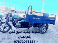 ستوته جمره البيع فحل رقم ***********
