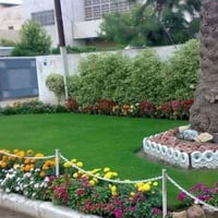 قص ثيل • ماكينة كهربائية • الجانب الأيسر