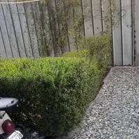 ٦٠م • واجهة ٦م • طابو ملك صرف