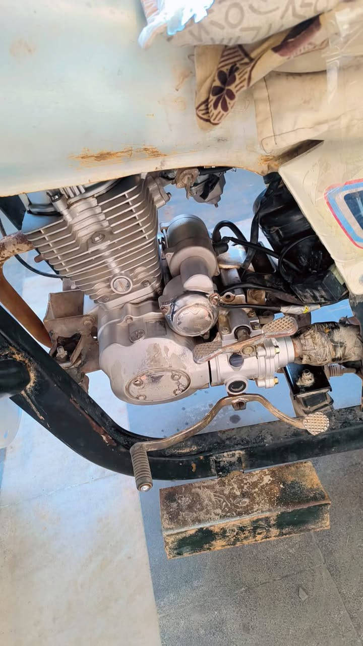 ستوته موديل 2013
وراق اصولي مكلف بل نشر ستوته محرك جديد خير من الله نكره سالف كرئبايات كله شغاله سعر صاحب ستوته ***********
