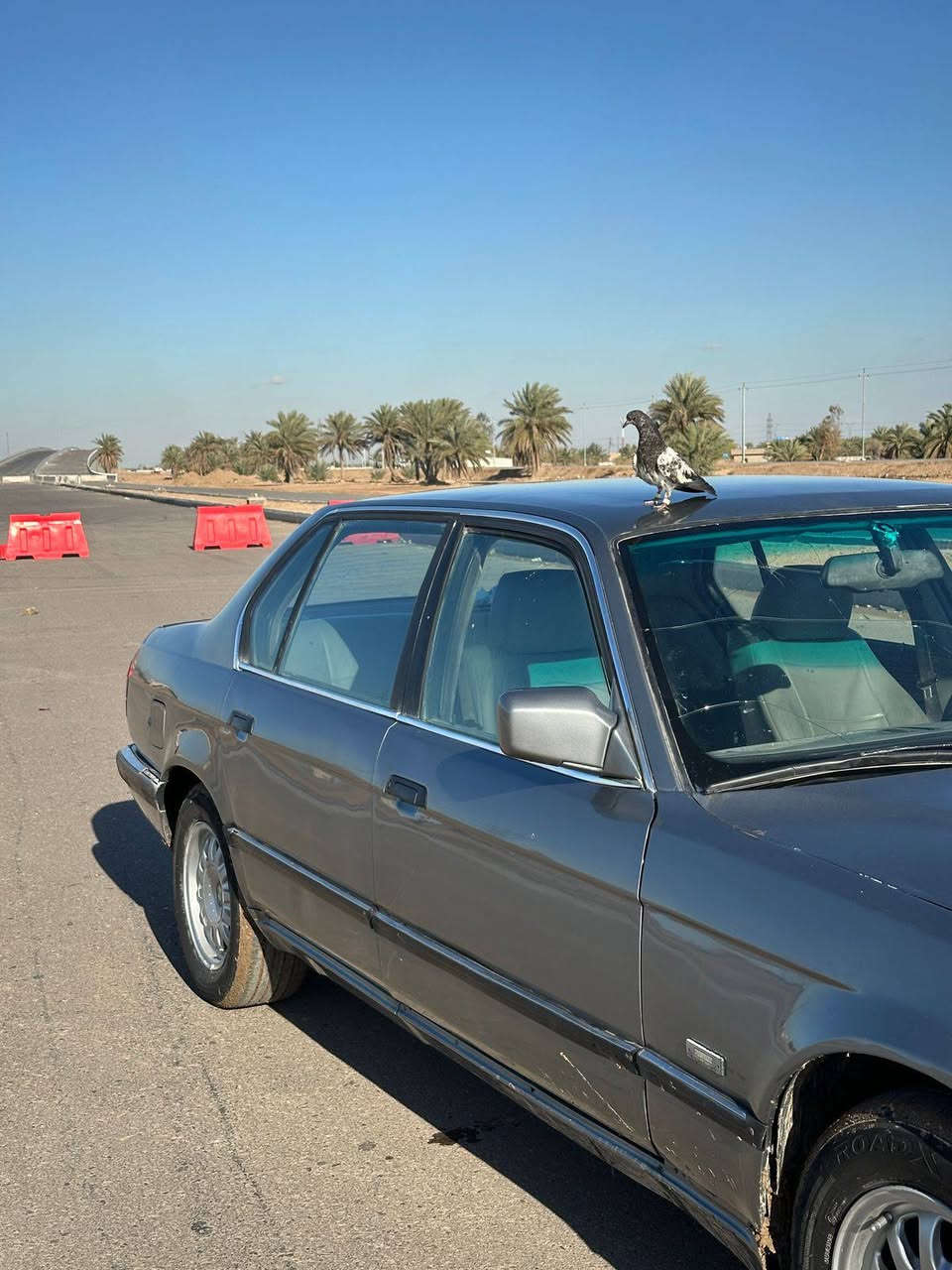 من رخصة الادمن سياره BMW 730V8 li
مكينه وكير جدد بيها شلعه تشك الكاع كشرها 70% مصبوغه عام للجماليه دواخلها حلوه نضيفه تخم تاير جديد السياره موديل 1994 صدرها 80% 
تحويل ثاني يوم سعر السياره 45 وبيها مجال بسيط للأستفسار 
*********** 
مكان السياره بغداد او العزيزيه بغداد, العراق
