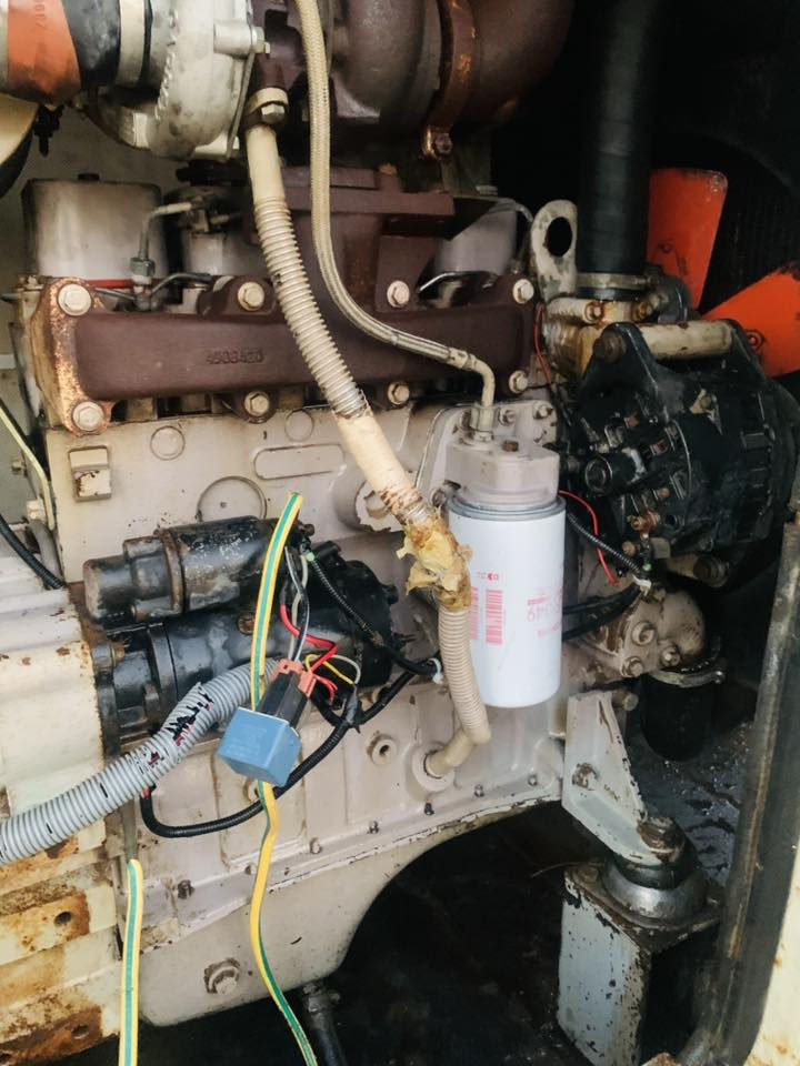 كمنز امريكي سوبر 4 بستم راس التوليد 50 كيفي للبيع 

العنوان بغداد ابو غريب 

 للاستفسار والاتصال ع رقم الهاتف ***********
