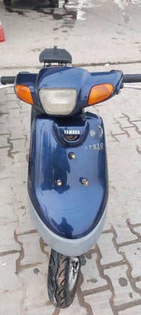 بطة • نضيفه • معرض الحمداني