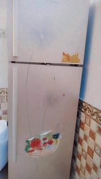 ثلاجة شغالة • تبريد وتجمد • ضرر بالصور