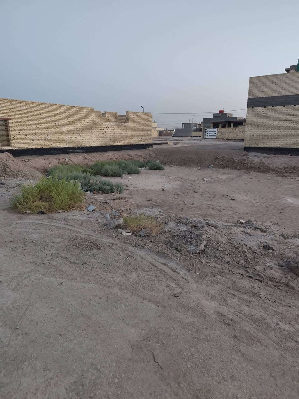 السلام عليكم 
قطعه ارض طابو زراعي ٢٥ للبيع مساحتها ٤٠٠م الموقع مجمع نبيل ع حولي مجمع الزهراء خامس شارع ع جهه اليسرى تبعد عن الشارع اليفصل طابو الثالثه عن المجمع سادس قطعه موقع مميز خدمات كامله تبليط ومجاري وأناره للاستفسار 
***********
