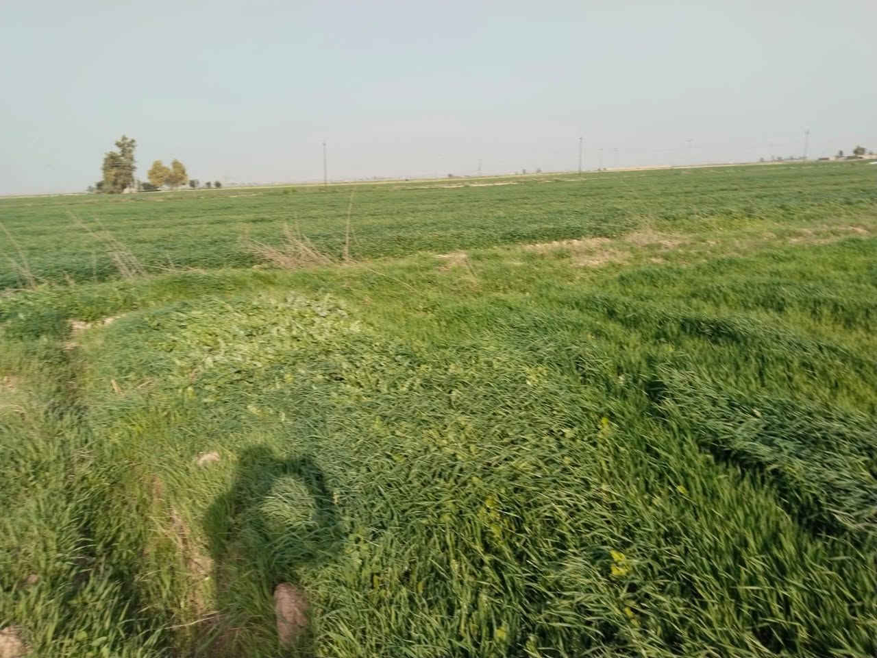 اعلان رقم (809)
قطعة ارض طابو للبيع 
مساحة/10 دونم 
العنوان/قرية جرداغلي 
السعر/دونم 10مليون
-----------------------
للاستفسار اكثر مراجعة مكتب محمد الواقع في فلكة راس فرع جامع الامام علي او اتصال بالارقام التالي 
***********
***********
نستقبل كافة عروضاتكم سكنية وتجارية في كافة المناطق طوز و كركوك...
