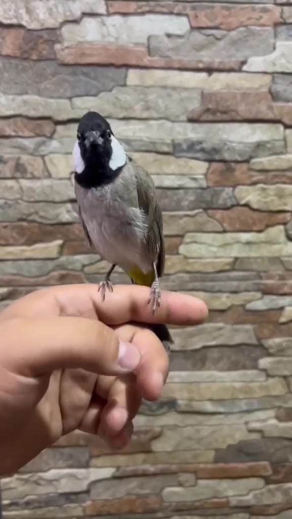 بمية وخمسين بغداد الامين


**إذا كنت صاحب هذا الإعلان وتريد حذفه لأي سبب، رجاءا أرسل رسالة إلى الدعم الفني**