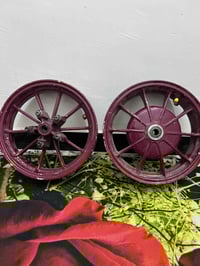 وياله سكنس فحل للبيع يرهمن مال جبلي الي ميعرف سعرهن ليتصل  ٠٧٧٢٤٦١٩٩٢٩