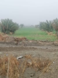 ٨دونم • طابو زراعي • واجهة نهر