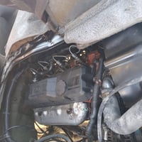 مديل ٢٠٠٠ • بدون صبغ • نجف