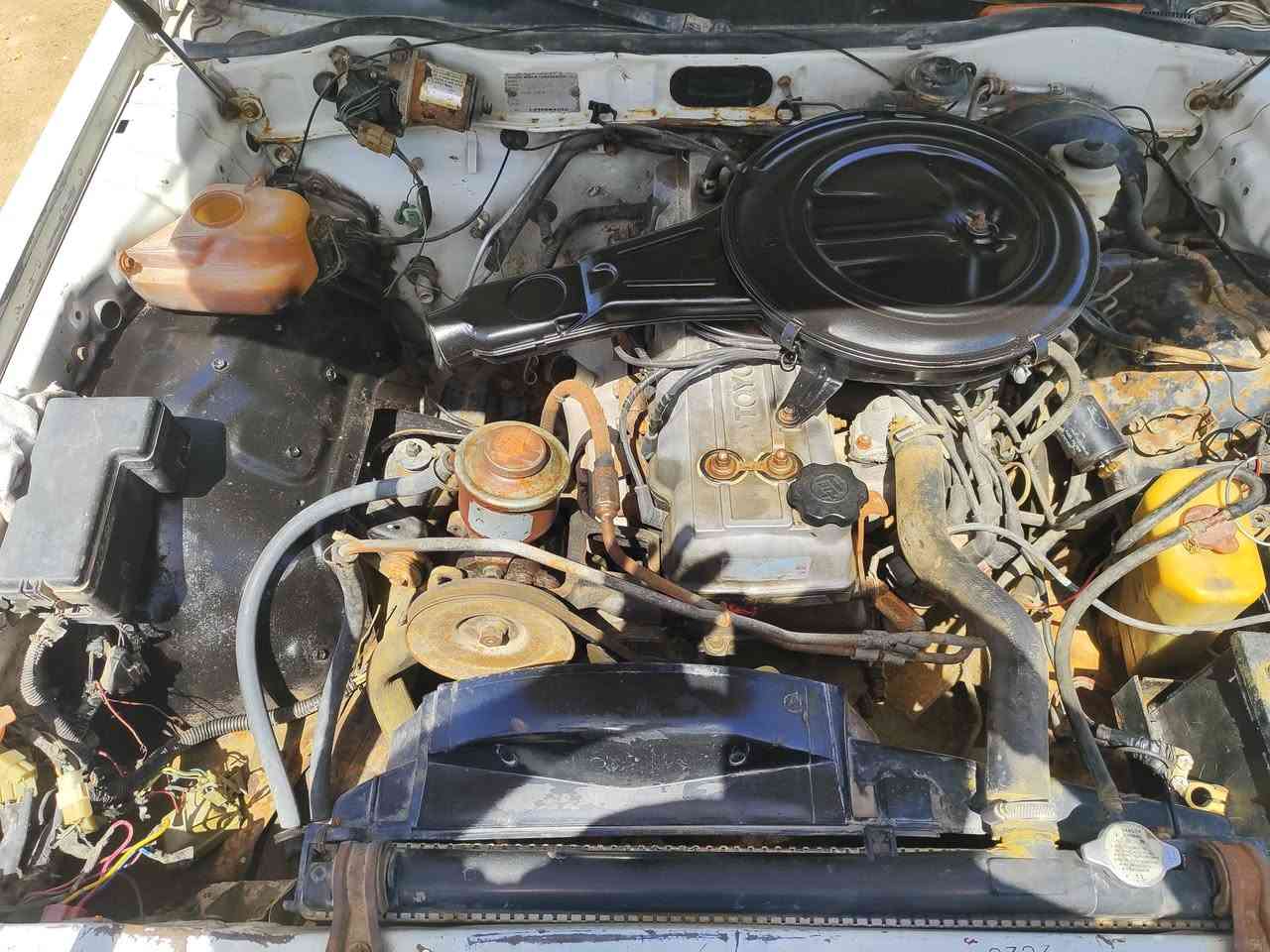سوبر موديل 85 بسمي رقم مميز  ذي قارسنوية جديدة محرك بلادي بي تبخير كير اوتماتيك شغالة مابيها شي مكانها ذي قار الشطرة سعرها 33
للاستفسار رقمي 
***********
سوبر موديل 85 بسمي رقم مميز  ذي قارسنوية جديدة محرك بلادي بي تبخير كير اوتماتيك شغالة مابيها شي مكانها ذي قار الشطرة سعرها 33وبيها مجال
