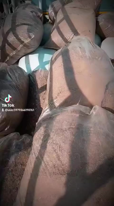 ٨ اجياس دمن واصلات الباب البيت  / ٢٥ الف  / ٨ اجياس زميج واصلات الباب البيت/ ٢٥ الف للستفسار، ***********
