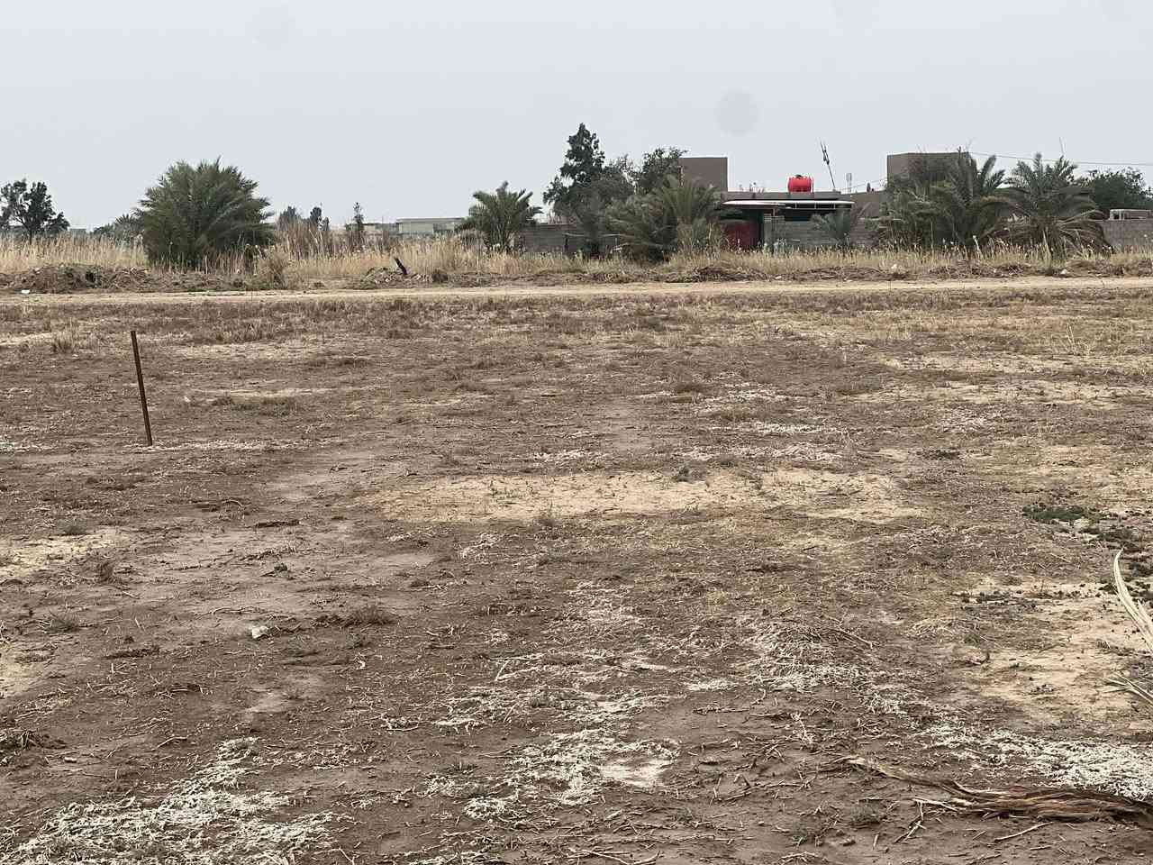 اربع قطع طابو زراعي سند ٢٥ مساحة القطعة الواحد ٣٠٠م ماء كهرباء وجه ع شارع ١٢م قيد الانشاء مصب وتبليط وشارع ١٢ متر مدفون سبيس نازل من الشارع العام لي رابط زبيدية نعمانية مقابل محطة ثعبان اسعار مناسبة 
للاستفسار ***********
*********** او مراجعة مكتب أمتار للعقار
