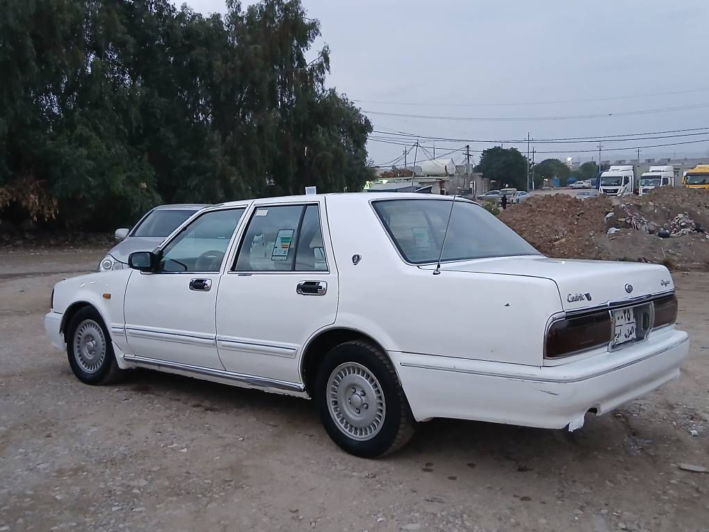 *********** بنجوين, السليمانية
