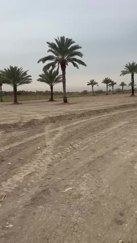 بسم الله الرحمن الرحيم
شركة الأصيل تعلن عن توفر قطع أراضٍ زراعية للبيع

بأسعار تنافسية تبدأ من 20 مليون إلى 45 مليون دينار

⸻

مميزات الأراضي:
 • مقطعة من قبل لجنة من المهندسين المختصين.
 • تصميم عصري مقسّم إلى ثلاث مربعات:
 • المربع الأول: يحتوي على كافة الخدمات.
 • المربع الثاني والثالث: بأسعار متفاوتة حسب الموقع والمساحة.

العقارات المتوفرة:
 • منازل حديثة البناء وجاهزة للسكن.
 • منازل قديمة بحالة جيدة وصالحة للسكن.

⸻

نظام التسجيل:
طابو مصغّر رسمي ومعتمد.

الخدمات المتوفرة في المنطقة:
 • مدارس 🏫
 • مجمع طبي 🏥
 • مساجد 🕌
 • مسبح عام
 • خطوط نقل عام: 🚕🛺🚎

⸻

للاستفسار والتواصل:
واتساب أو اتصال على الرقم: ***********📱📞

#شركة_الأصيل_للعقارات #عقارات

⸻
