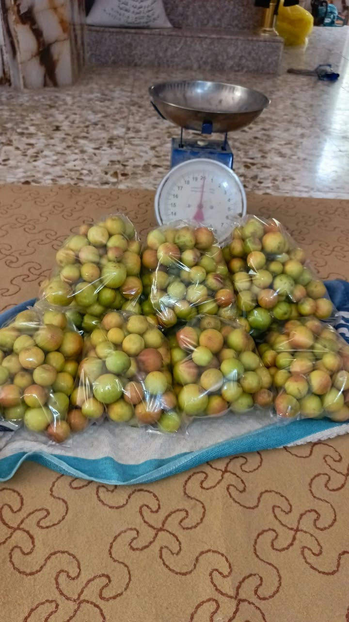 للبيع تفاحي امريكي وچبچابي
مراسلتي او الاتصال بالرقم ‏‪***********‬‏
يوجد توصيل لجميع المحافظات
