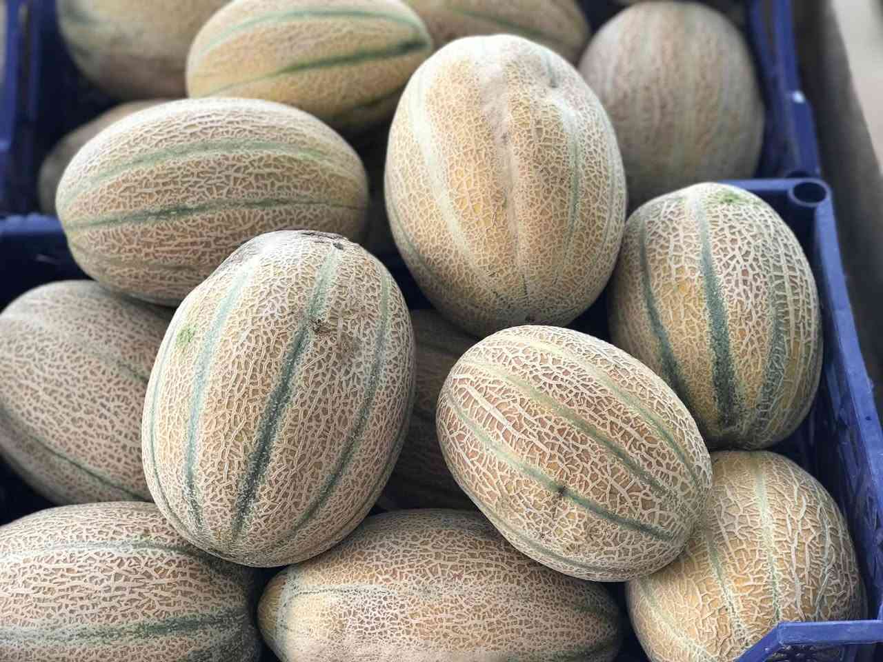 بسم الله الرحمن الرحيم توكلنا على الله 
اسعار المخضر لهذا اليوم 
1/7/2026
طماطه ٥٠٠
خيار الف 
فلفل الف  وربع 
بيتنجان ٧٥٠
شجر الف 
بتيته الف 
باميا الفين 
لوبيا الفين 
خس الف 
ركي ع سجين ٦٠٠
بطيخ ٧٥٠ 
لهانه الف 
سلك ٣ بالف 
خضره ٨ بالف 
الفواكه 
برتقال الف ونص 
خوخ الفين 
جزر الف 
نومي حامض الفين ونص 
موز الفين 
العنوان نهاية شارع المعهد قرب مكتب علي فاضل 
للطلب مراسلة الصفحه او الاتصال على الرقم 
***********
يوجد لدينا خدمة توصيل 🚚 
ملاحظه المخضر الي بلصوره يصلك نفس ماهوه للبيت 
والله ولي التوفيق
