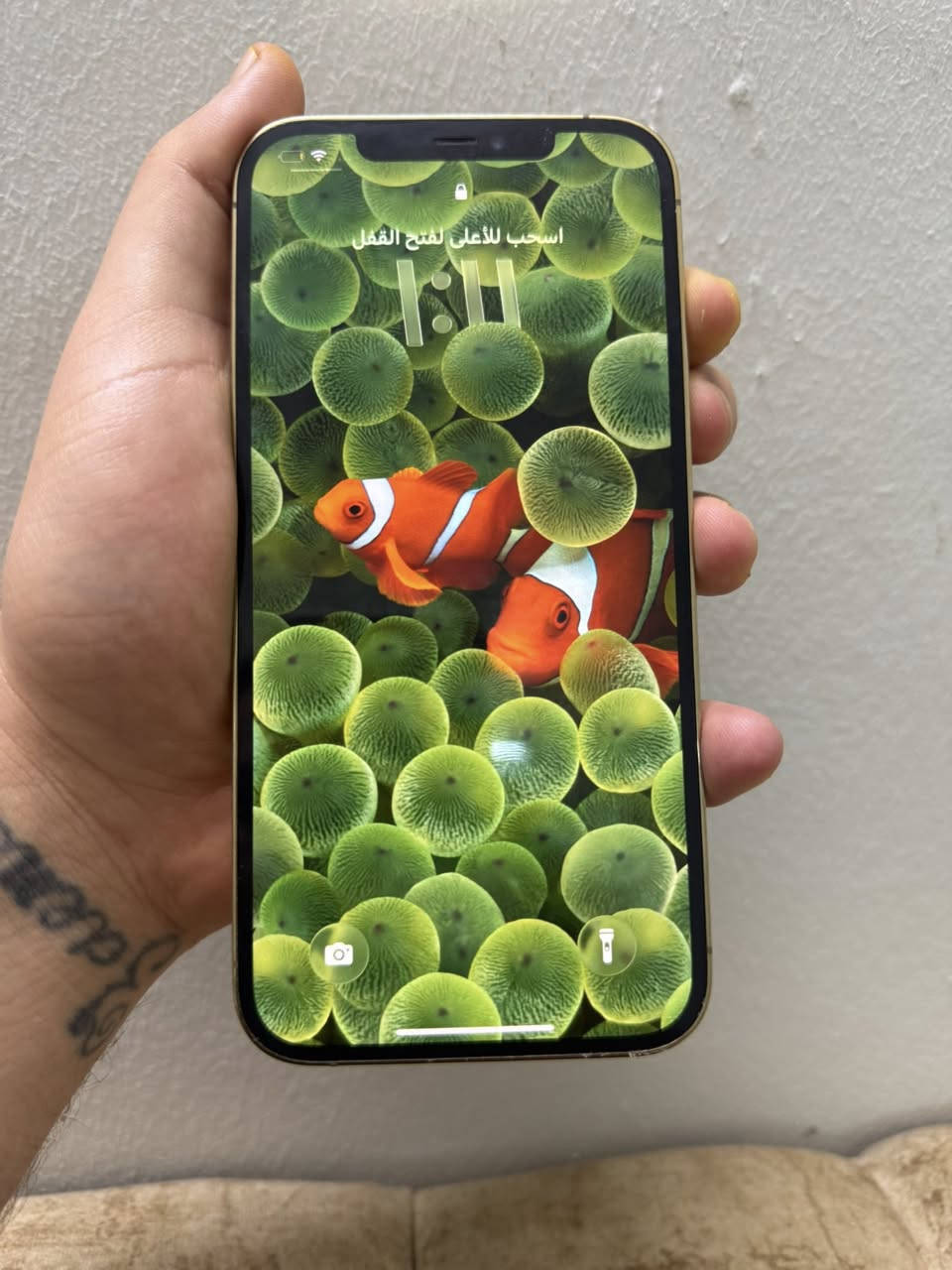 آيفون 12 برو ماكس ذاكرة 265 بطارية 86 جهاز كلة ع بلاد شرط فقط بيع بدون مراوس جهاز نظيف سعر كلش مناسب  (340) ***********
