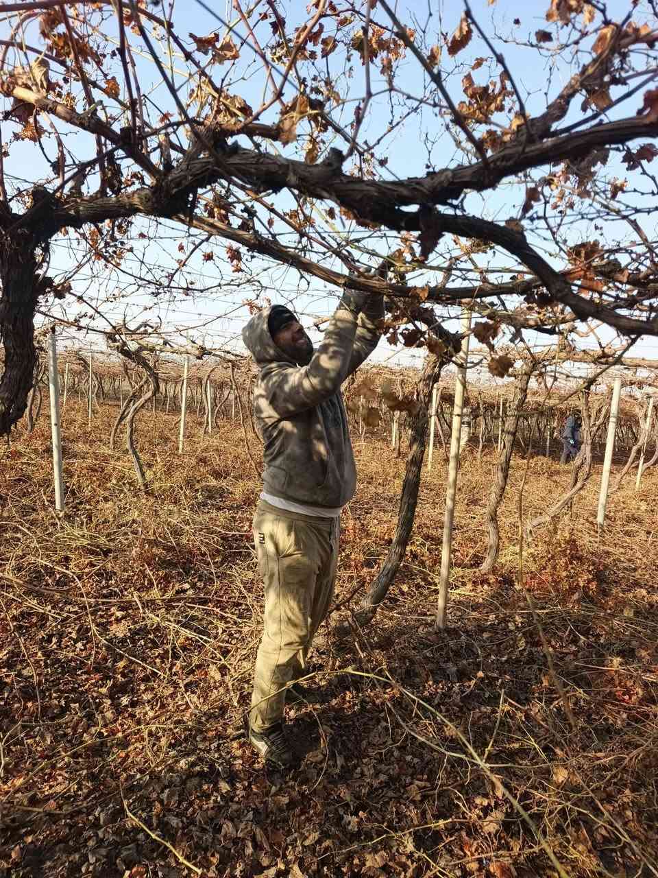 بسم الله ماشاء الله تبارك الرحمن يوجد كادر كص عنب كادر كامل مكمل انته عليك اتصل وتدلل رقم الهاتف  ‏‪***********‬‏
