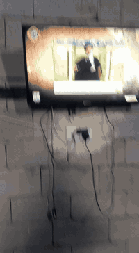 السلام عليكم ورحمه شباب بلازمة للبيع  السعر 75 مجال لطبين مكاني بغداد العماري رقم الهاتف ***********
