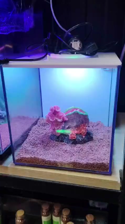 يالله  اللهم صل على محمد وال محمد 
#الاحواض_المتوفره_في_معرض #السيد_لاسماك_الزينه 
للاستفسار راسلنا خاص او واتساب او اتصل على الارقام👇 
العنوان
طوز خورماتو سايدين امام احمد مقابل قصابة حكمت 
☎️سيد ليث *********** واتساب او اتصال
☎سيد منتظر *********** واتساب او اتصال
🚚يتوفر خدمه توصيل داخل طوز خورماتو مجاني 
🚛 يتوفر خدمة توصيل جميع المحافظات 6 الف دينار
