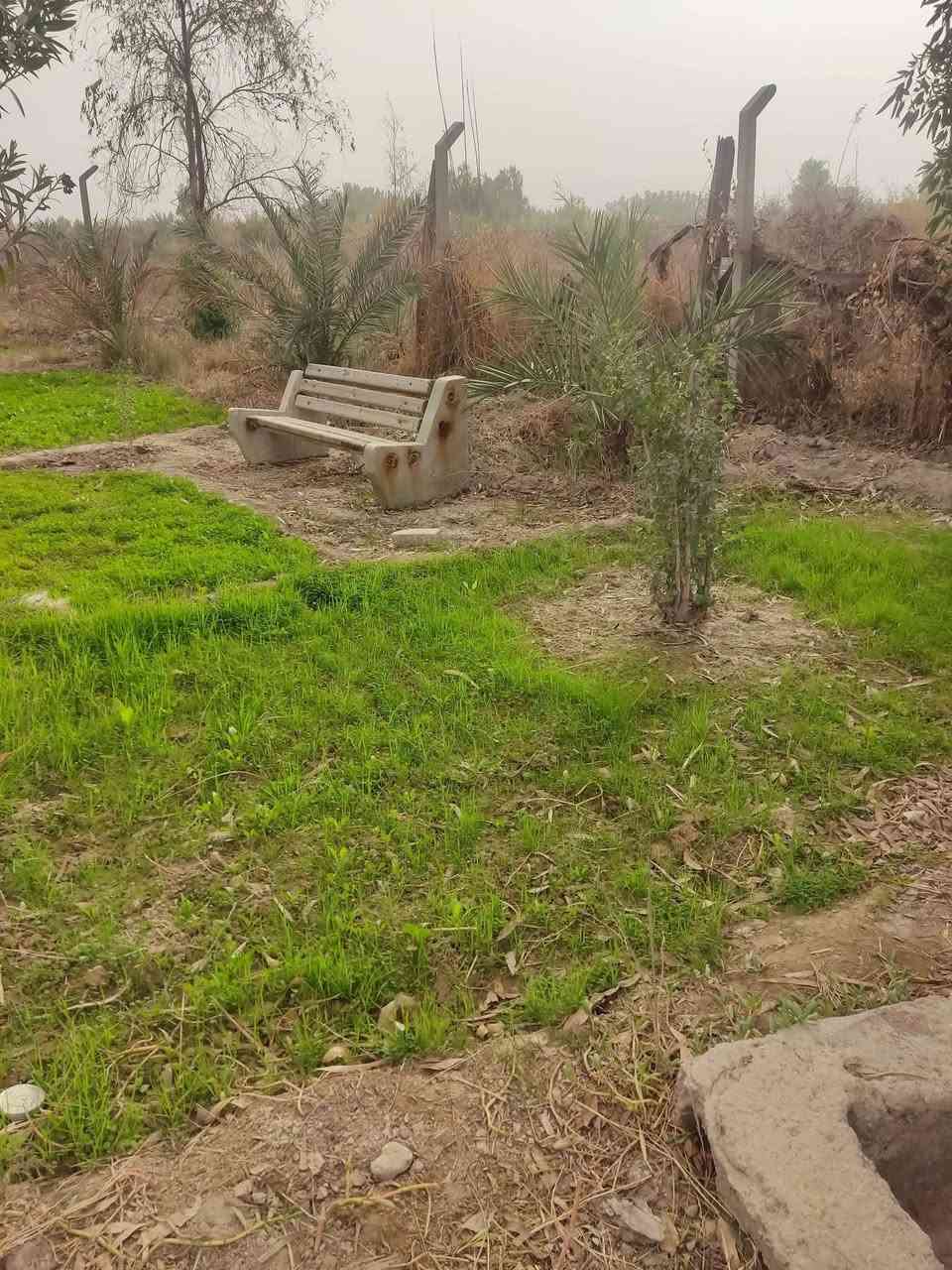 السَلآْم عَلْيُكّمٌ وٍرٍحَمُةّ الله وٍبُرٍكآتُهْ.🌿
بستان مع بيت غرفه ومطبخ وصحيات خارجية زراعي گرمه بني سعيد على نهر الحميدي على اطراف گرمه بني سعيد موقعه  خلف الهرد  النهر بصفه ماء وماطور أيضآ 

المساحه 1850متر 

البستان بيه 63 نخله ونبك ورد النخل بيه افضل نوعيه 

السعر مناسب 💵 40 وبيه مجال 

نستقبل كافة العروض سوك شيوخ وگرمه بني سعيد 

مراسله 📩 الصفحه او الاتصال 📞 على رقمي التالي
 ***********
متواجدواتساب 👆
