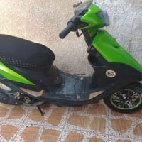 مراوس • سكنس • اوراق