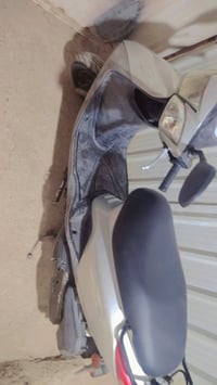 بريز بغبغاء رمبه فلينه للبيع ١١٥٠العنوان الشعب سيطره منطقه السريدات صا...