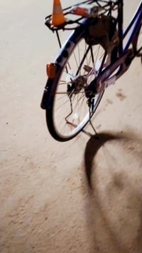 باسكل • اومراوس • موديل ٢٠٢١