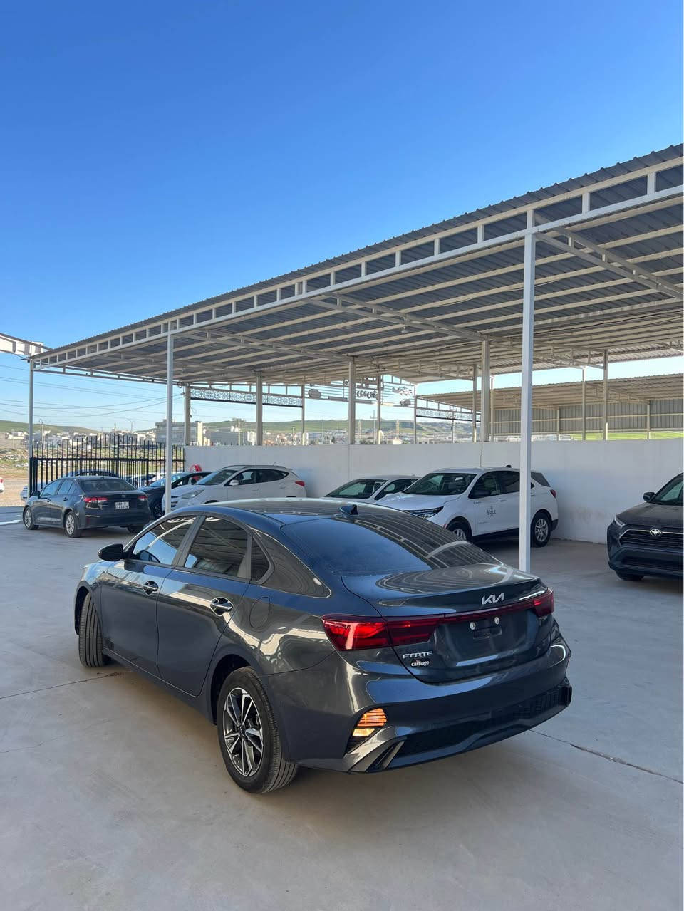 ( كيا ڤورتي      2024    فول مواصفات بس بدون سلايت )
(ماشي      16000    ميل   )
( الصبغ 2 قطع بوند او جاملغ   )
( گير ابشرط مكينه ابشرط رادار ابشرط حجر كزوز ابشرط )
( رقم ژماره كاتي مده الترقيم   90   بعد ابرام العقد ) 
( شرط الترقيم    /اربيل /دهوك /سليمانيه )
( العنوان دهوك قضاء برده ره ش معرض حجي صادق )
(***********) واتس اب 
(***********) واتس اب 
( السعر     129    $    ورقه او بي مجال  ) اكر, نينوى
