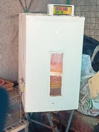 مفقس بيض • فول اوتوماتيك • ١٠٤-١٥٦ بيضة