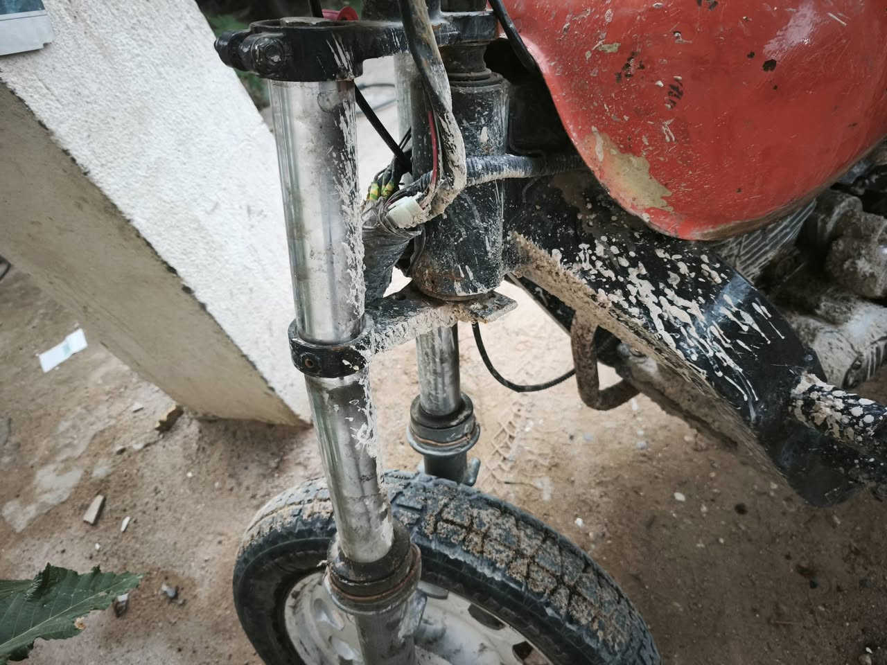 سلام عليكم ستوته اوراقه ضايعه اتكفلك عشاير  للبيع اكسن لطش وتايرات سايبه جوبلس وتاير كدام مال بطه جوبلس جدد عوزه تلحيضات ودشلي مال الهندر مسحوگ يراد دشلي بس لستوته شغاله تشتغل دفعه  لسعر 450الف وبيه مجال قليل   واذا اكو مراوس حسب القناعه مكاني الزبير طريق سفوان مقابل لبترو رقم واتساب ***********
