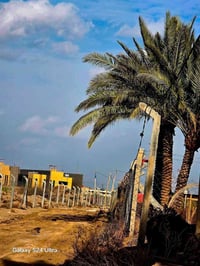 طابو زراعي • ١٥٠٠م • خلف جامعه بابل