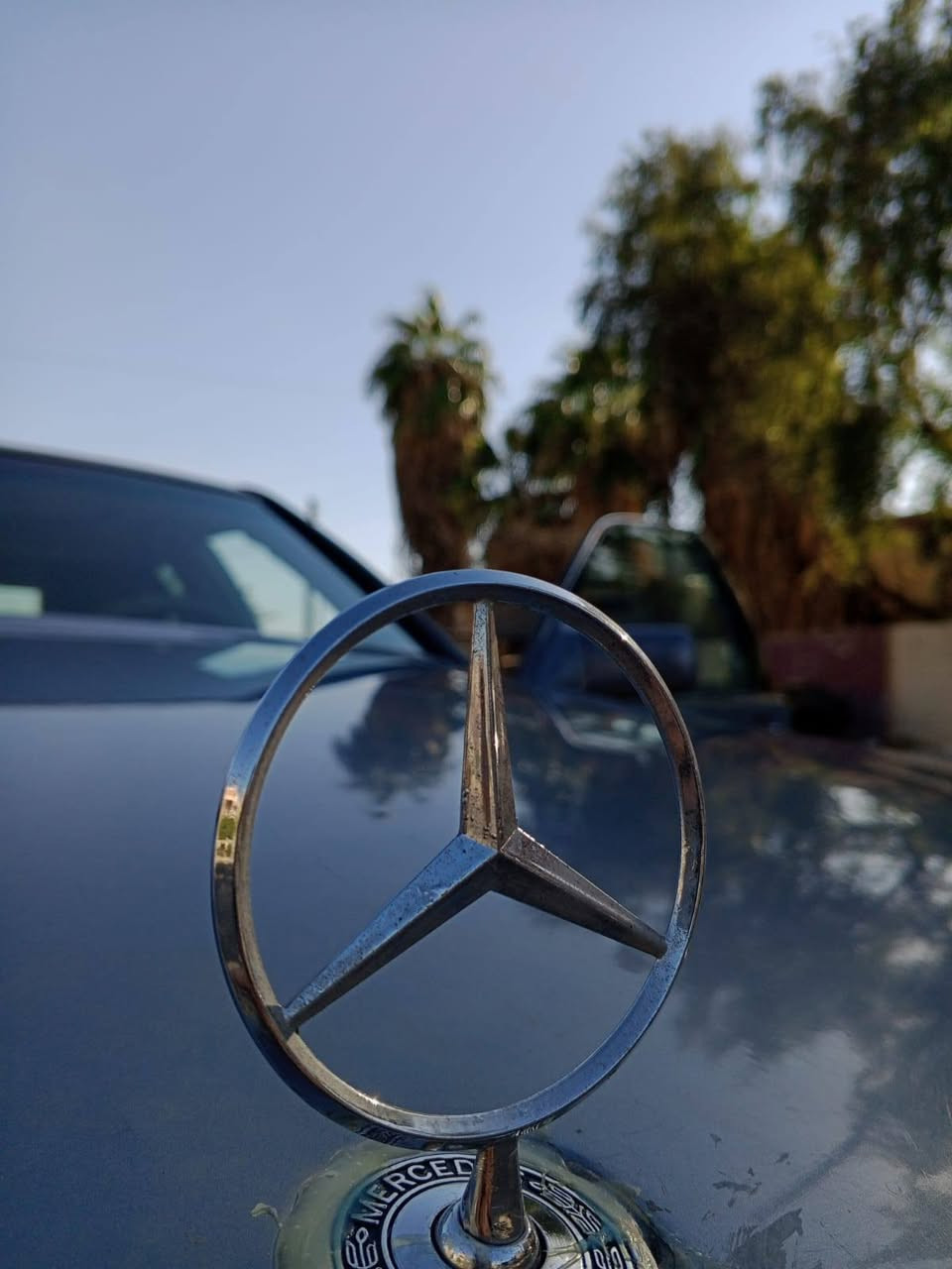 بسعر سايبة والله بيعه سريعة متوازي
السلام عليكم للبيع مارسدس شبح موديل 1994 سيارة وارد خليجي كاملة مكمله كهربائيات اشاير لايت عالي ناصي بك لايت هورن جام كهرباء يصعد وينزل دبل جام مكينه سته سلندر vvt تشك الكاع شلعة معدل  لاتنقيص ولاتبخير خير من الله تخم تاير جديد جواها سبير وجك بلجنطة سيارة مايعوزها برغي ((تحويل مباشر بأسمك )) رقم بغداد ألماني 
السعر : 36 ورقه وبيها مجال 
العنوان : بغداد الشعب يم سوك شلال 
الرقم : ***********
