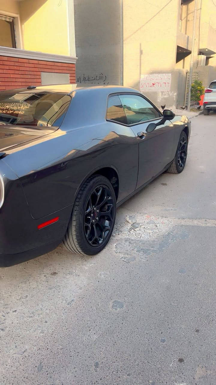 السلام عليكم جالنجر موديل 23 هزة ورقم جديد انكليزي حي الجهاد مجمع النسيم رقم تلفون ***********
