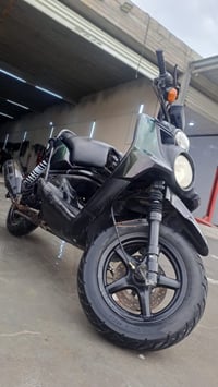 جبلي ياباني • بوشة 53 ونص • قطع اصليه