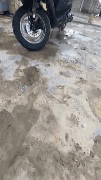 السلام عليكم ماطور فرخ اكزز للبيع يرهم مراوس السعر / 225 وبي مجال للطيبين وايرمنيه كلها شغاله معمر فقط تعميره وحده مكاني موصل جانب الايمن للاستفسار تعال خاص وتدلل


**إذا كنت صاحب هذا الإعلان وتريد حذفه لأي سبب، رجاءا أرسل رسالة إلى الدعم الفني**