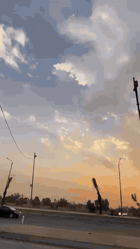 منغولي للبيع حربي كفراتهه كلهه موجوده وختم واحد صالي شهرين من طلعتهه و...