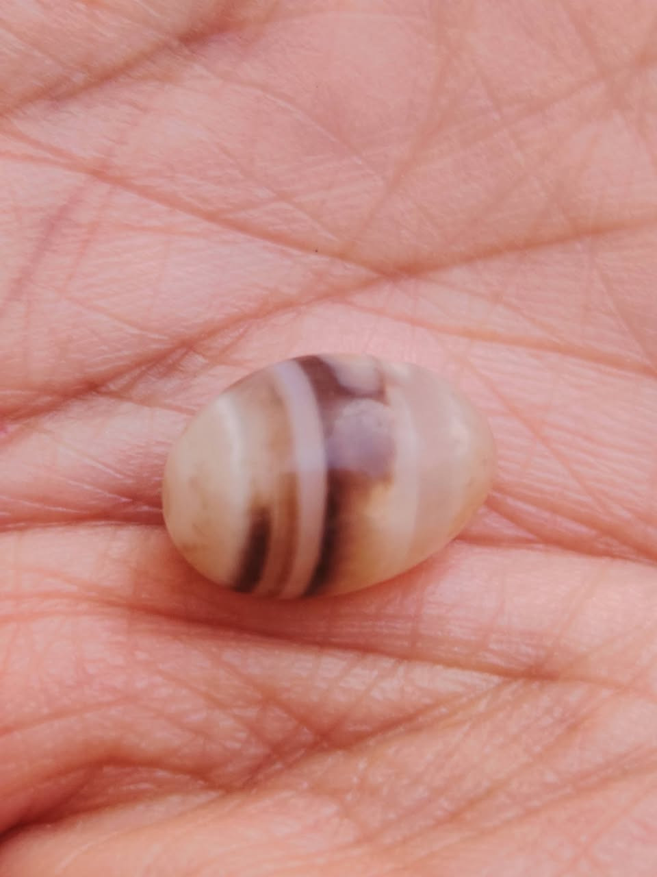 سلام عليكم  اخوان حجرات قديمات الله شاهد  قديمات خرزه داوودي اب يماني الله شاهد مال الحجي   شايلها او جزع سليماني اوجزع بقري او حلقه فضه ضخمه وجبيره سعر خاص


**إذا كنت صاحب هذا الإعلان وتريد حذفه لأي سبب، رجاءا أرسل رسالة إلى الدعم الفني**