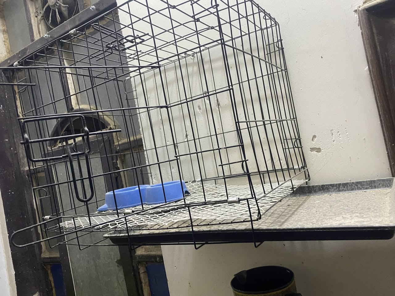 قفص جديد باب امامي وباب فوك وجرار تنضيف مكان نجف نصر


**إذا كنت صاحب هذا الإعلان وتريد حذفه لأي سبب، رجاءا أرسل رسالة إلى الدعم الفني**