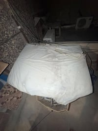 بنيدسمندابيض • جديد • بصره