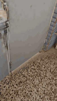 السلام عليكم شقه ارضي مساحة ١٠٠م للايجار مقابيل قطاع السابع على الشارع الغربي موبايل ***********
