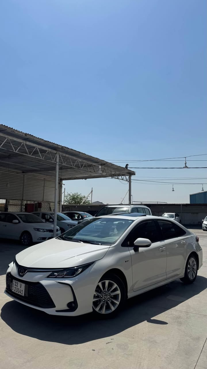 Toyota crolla 2025 
بی سبوخ بی سارد هیچ هیچی نیە 
١٤ هەزار رۆیشتیە بە ناوی خۆمە 

سعری ١٦٥ وەرەقە مەجالەکی  کەم 
*********** أربيل, العراق
