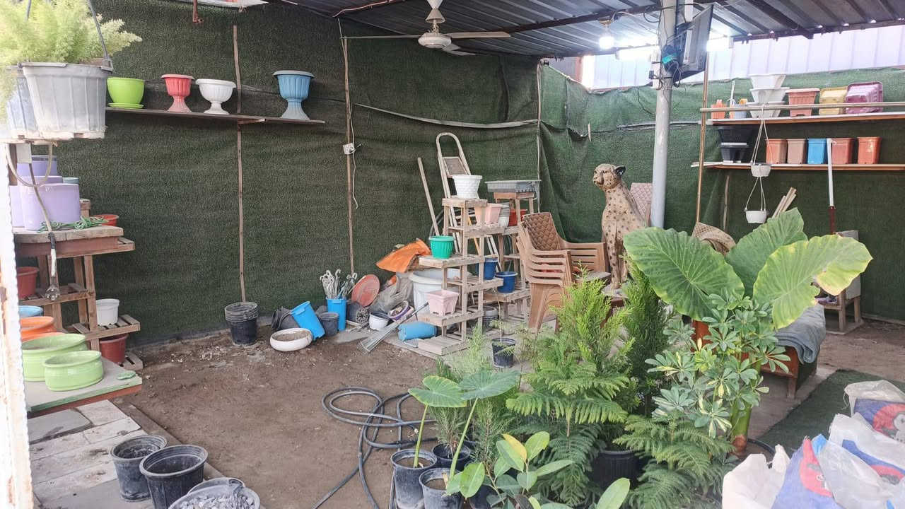 السلام عليكم مشتل للبيع و دفئية زراعية المساحة100متر ٤ برادات ٣ دفئيات  ايجارة ٥٠٠ عنوانه الغزالية الشارع العام للاستفسار أكثر *********** فقط واتساب
