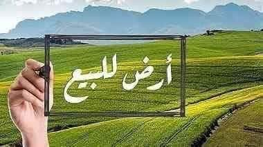 السلام عليكم
قطعة ارض للبيع 
العنوان طريق الدغارة مقابل معمل الطابوك الموقع مميز عل شارع العام مباشر تبعد عن فلكة النسر 2 دقيقه فقط 
المساحة 820م 
القطعة تحتوي على سياج حجر + مدفونه سبيس 
رقم *********** واتساب
